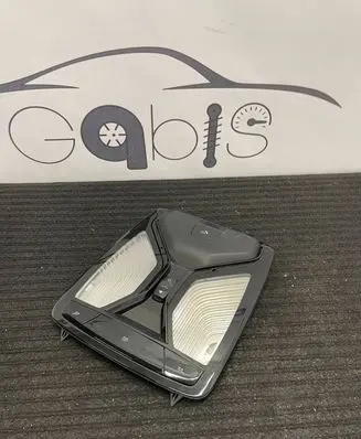BMW X5 G05 Front door interior light 5A25208 28725719