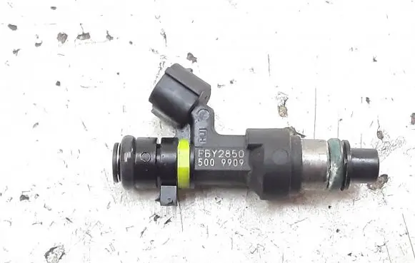 Renault Scenic RX Fuel injector fby2850