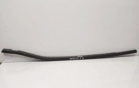 Rear door glass trim molding