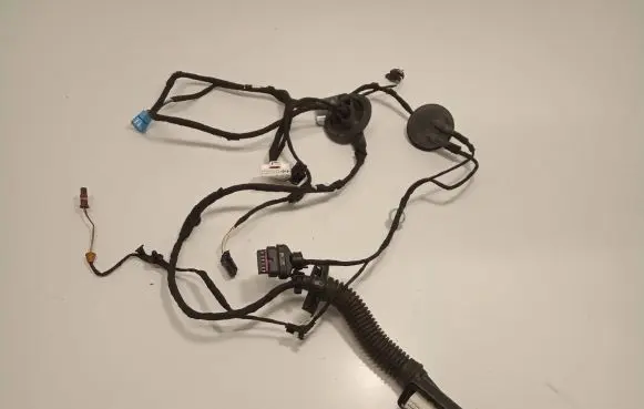 Audi A4 S4 B9 Front door wiring loom 8W0971030AK 111220 TAB010403AP