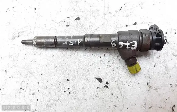 Renault Kangoo II Fuel injector 0445110652