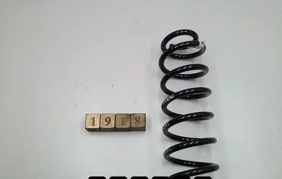 Volkswagen PASSAT B8 Rear coil spring