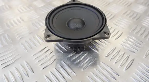 BMW X5 E70 Front door speaker 9151864