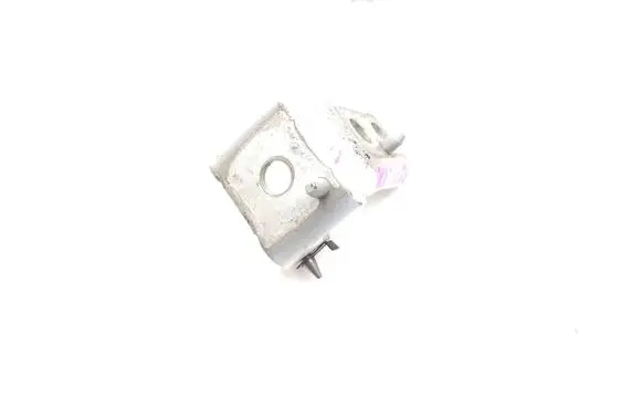 Rear door lower hinge
