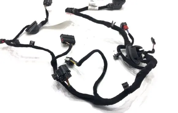 Front door wiring loom