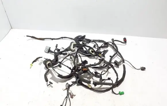 Other wiring loom