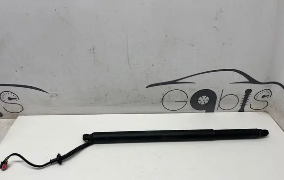 KIA Sorento IV Tailgate/trunk strut/damper 81831P2100