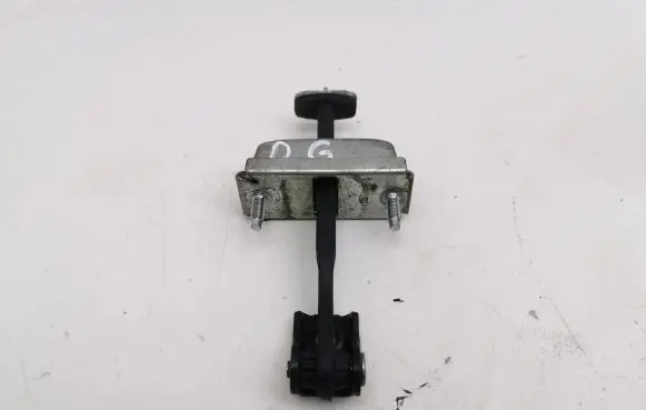 Ford C-MAX I Rear door check strap stopper