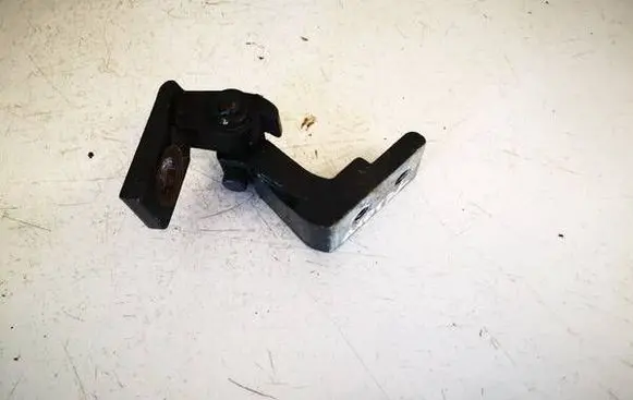 Rear door lower hinge
