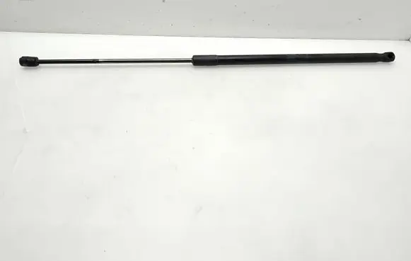 Tailgate/trunk strut/damper