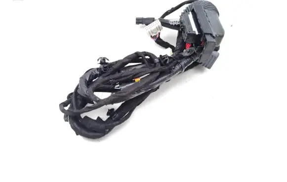 KIA Sportage Front door wiring loom 91600R2210