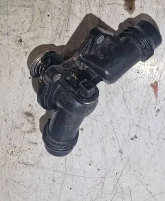 Thermostat/thermostat housing