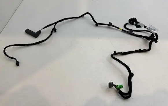 Polestar 2 Rear door wiring loom 33933328