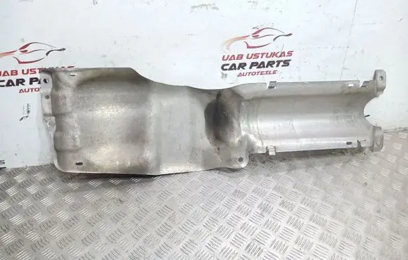 Exhaust heat shield