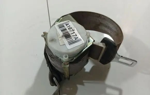 Rear seatbelt