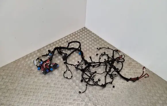 Engine installation wiring loom