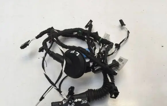 Seat Tarraco Front door wiring loom 5FK971120BQ