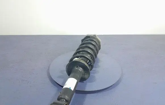 Rear shock absorber/damper