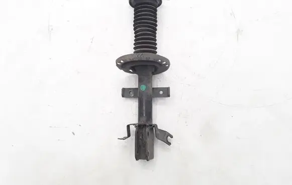 Renault Zoe Front shock absorber/damper 543027411R