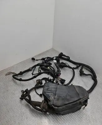 Porsche Cayenne (9PA) Other wiring loom 7L5971072AR 7L0010338A 7L5971072AP