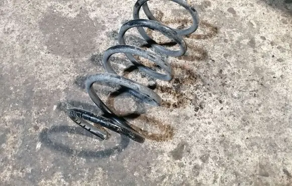 Rear coil spring