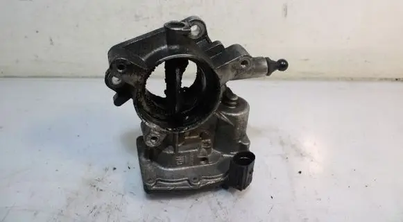 Throttle body valve
