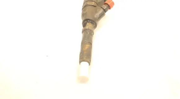 Citroen Berlingo Fuel injector 0445110082