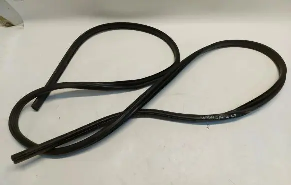 Nissan Qashqai J12 Sliding door rubber seal J125535454