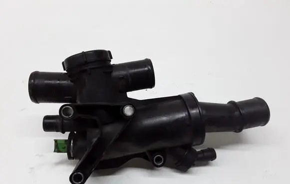 Thermostat/thermostat housing