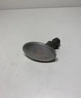 Front fender indicator light