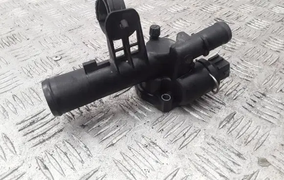 Thermostat/thermostat housing
