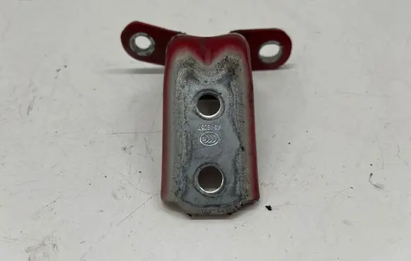 KIA EV6 Front door lower hinge