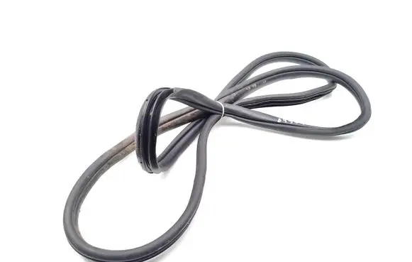 Hyundai Kona II Front door rubber seal 