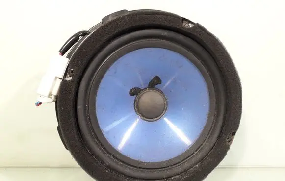 Front door speaker