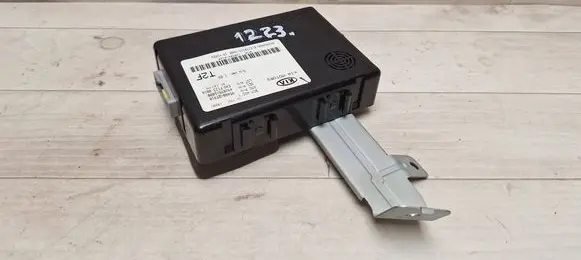KIA Optima Other control units/modules 954002T910 49287Y1000