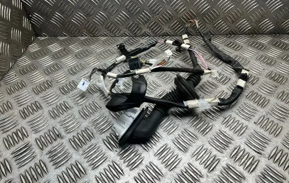Toyota C-HR I Rear door wiring loom 82154F4