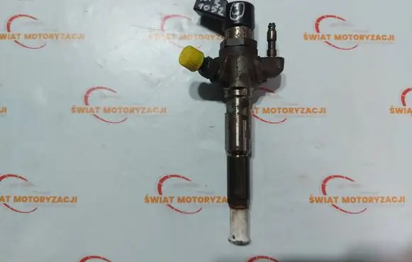 Citroen DS4 Fuel injector 9802448680