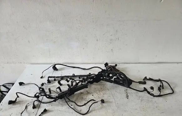 Engine installation wiring loom