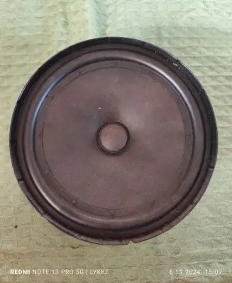 Volkswagen Golf Plus Front door speaker 1K0035454P 900475460004 05010720025A