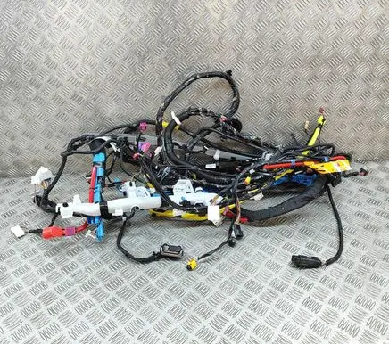 Tesla Model Y Other wiring loom 248905901A 248904202C