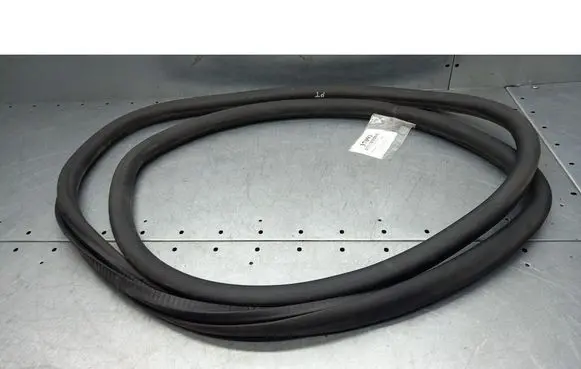 Volkswagen Golf V Rubber seal rear door