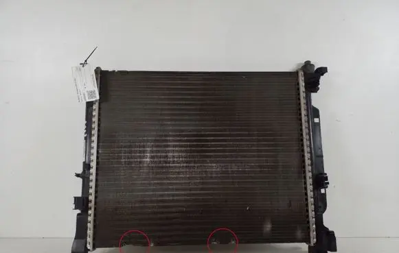 Renault Kangoo II Coolant radiator 8200455801