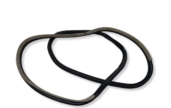 Renault Laguna III Front door rubber seal 
