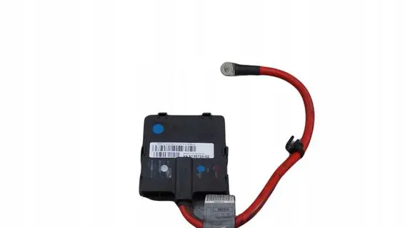 Mini One - Cooper Coupe R56 Positive wiring loom 9136725