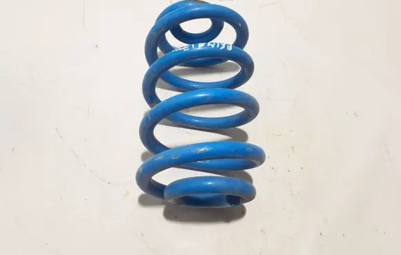Nissan NV300 Rear coil spring 550203387R