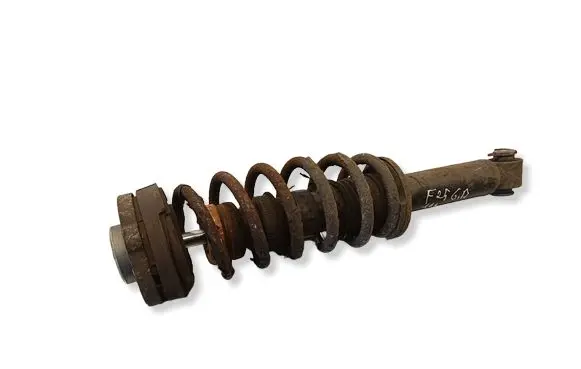 BMW X3 F25 Rear shock absorber with coil spring 