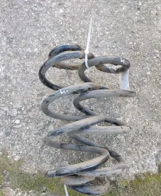Rear coil spring