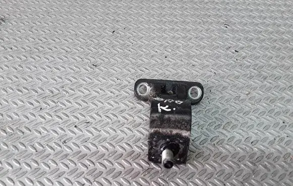 Volkswagen Golf IV Tailgate/trunk/boot hinge