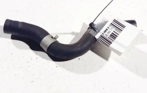 Infiniti QX50 (J50) Engine coolant pipe/hose
