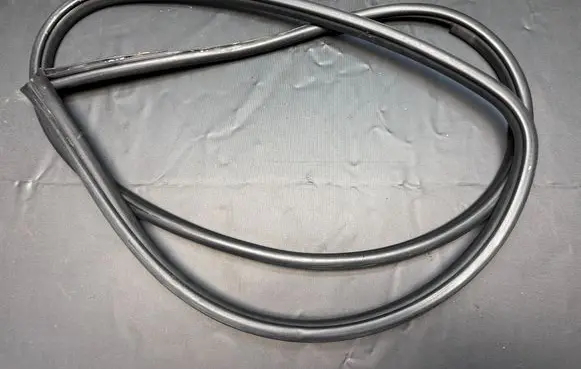 Toyota Hilux (AN120, AN130) Rubber seal rear door 544420